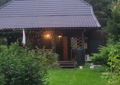 forest Sulimówka