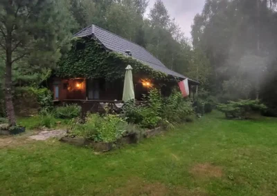 forest Sulimówka