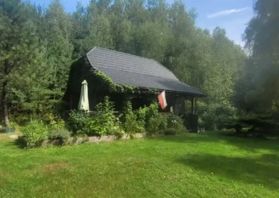 forest Sulimówka